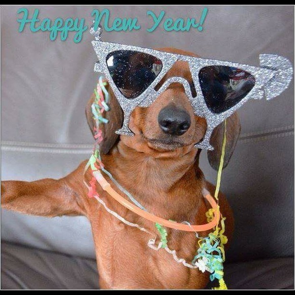 Meet your Posher, Phyllis - Picture 2 of 2